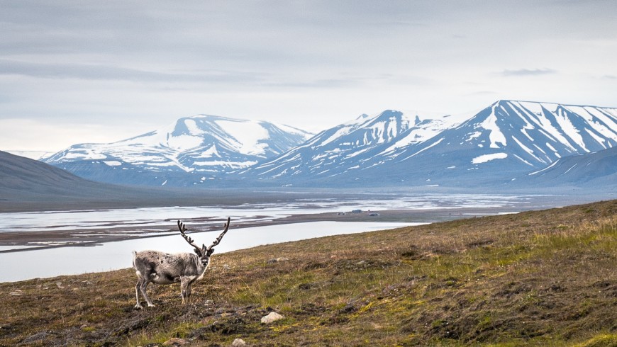 The Svalbard Islands, halfway between Norway and the North Pole