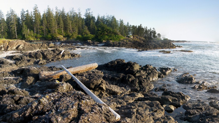 Pacific Rim National Park, Canada 