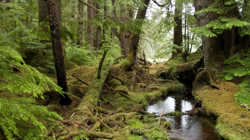 Gwaii Haanas National Park Reserve and Haida Heritage Site, Canada 