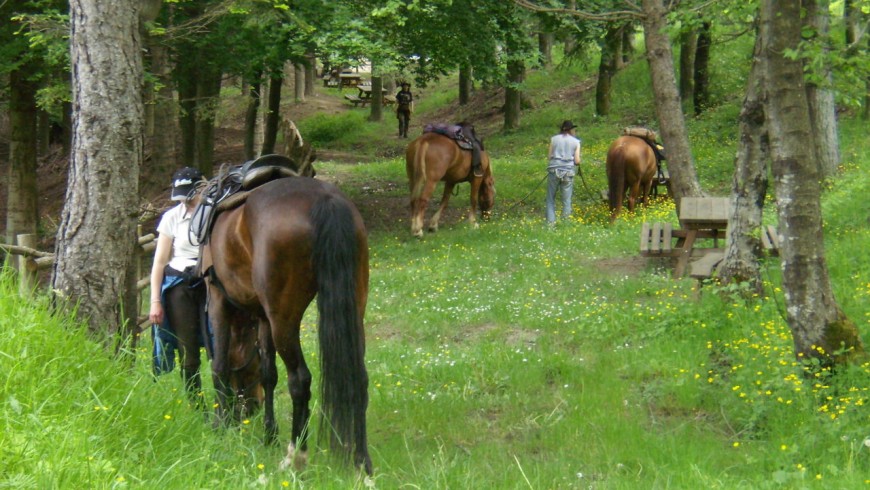 Horseback riding in Tuscany