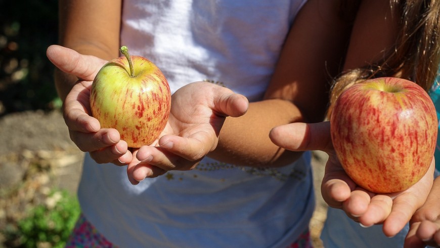 Gardening is good for children's health