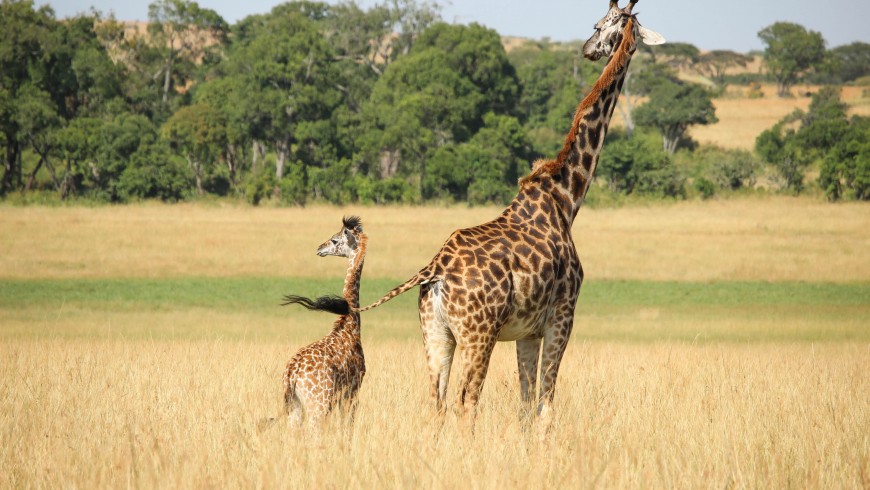 Kenya - Ecotourism: the best destinations in the world