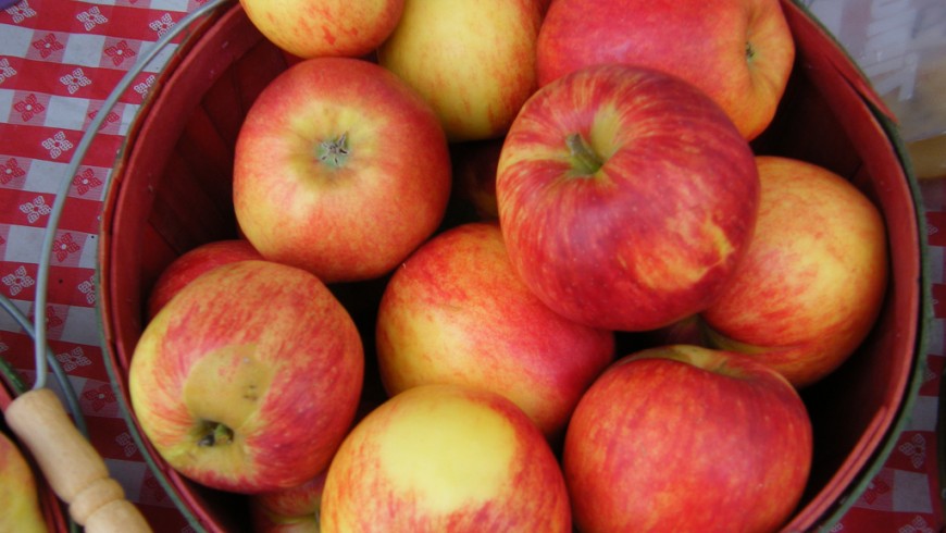Organic food apples