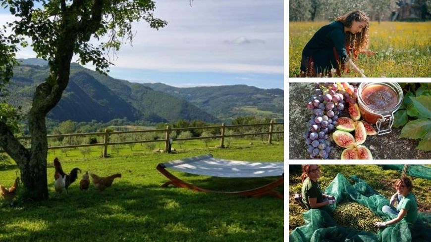 Rural Experience in La Fontaccia, one of the best organic farms in Tuscany
