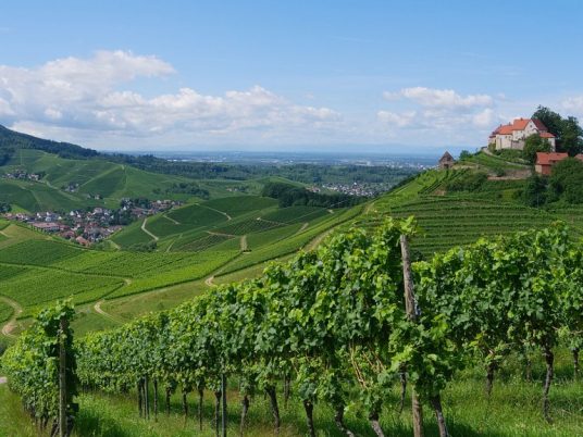 castle Staufenberg