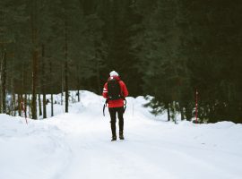 Snow in the Black Forest