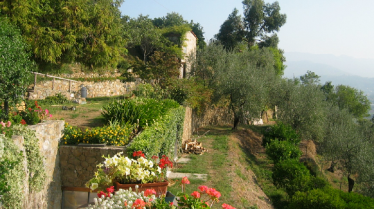 Farmhouses among the olive trees that are worth a trip in Italy