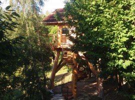 one of the two tree houses surrounded by trees in Piedmont, Italy