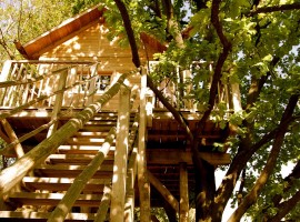 A beautiful tree house in Piedmont