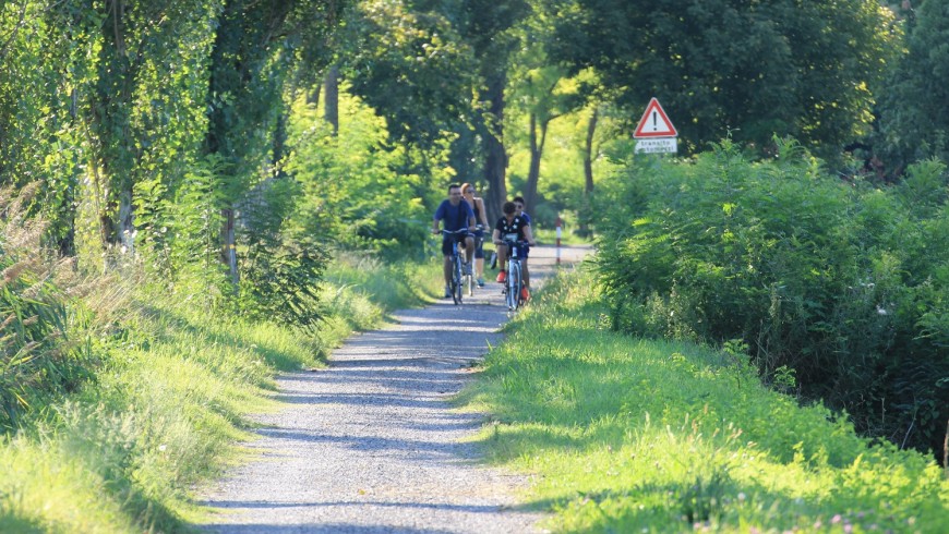 Green cycle path along river Po, near Gualtieri, photo by Emanuele Benigni, via flickr