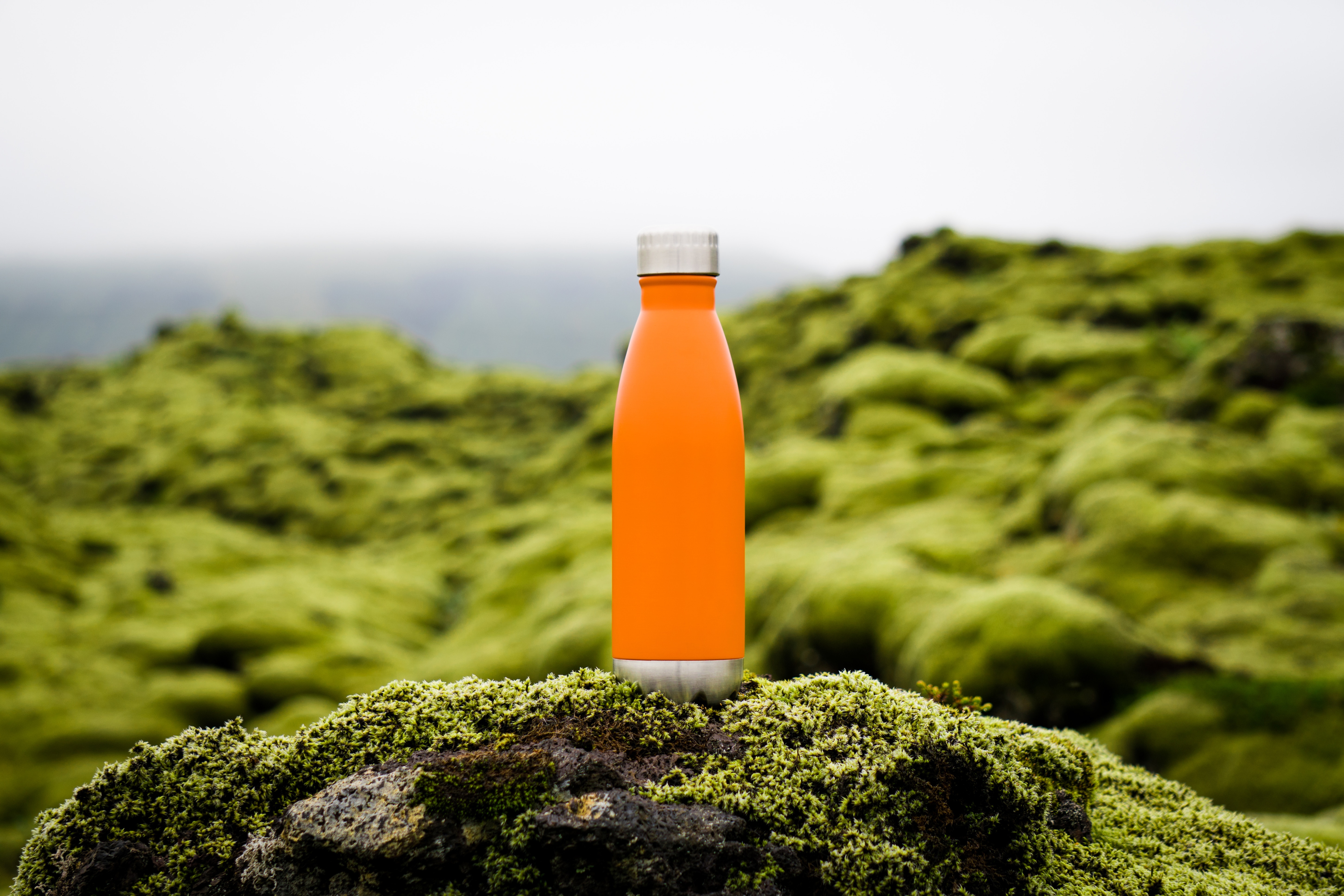 Green bottle, photo by Martin Sanchez via Unsplash