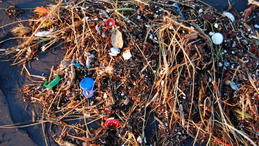 Plastic Ocean, photo by Wikimedia Commons