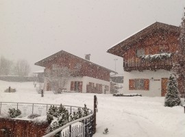 Snowing on Pineta, winter holidays