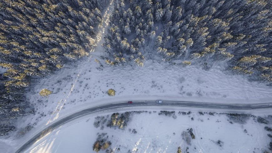 Electric car in a road surrounded by woods