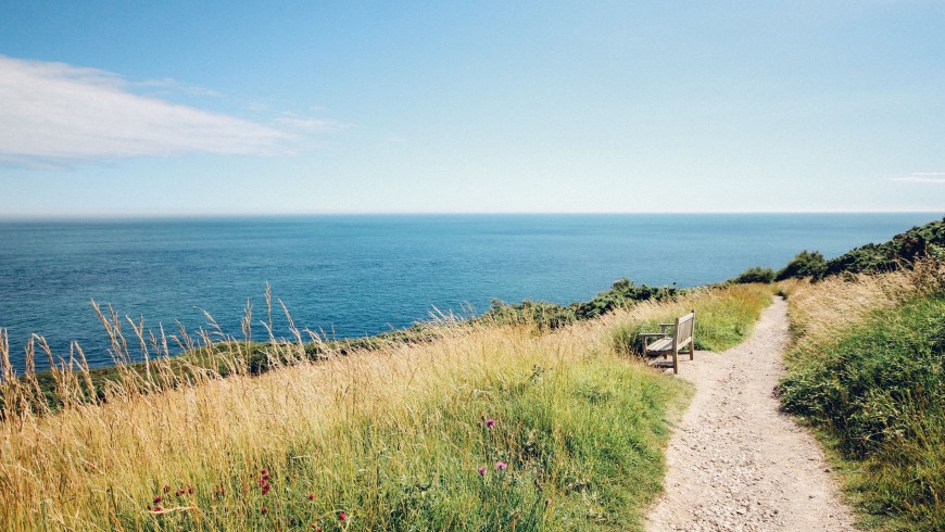 Green path above the sea, photo by Rachel Lees via Unsplash