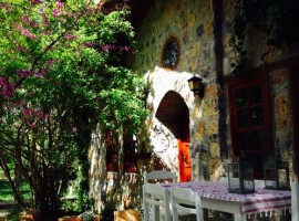 Fig Garden Cottage from the outside, green tourist facilities