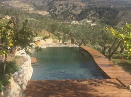 Natural bio-swimming pool, Andalucia, green tourist facilities