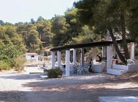 Biologic farmhouse, Greece, green tourist facilities
