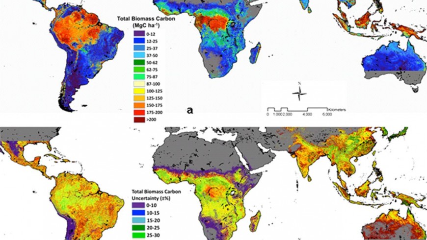 Carbon Stored in Earth's Tropical Forests Benchmark map of carbon stored in Earth’s tropical forests. Amazon is the biggest green lung of the Planet.