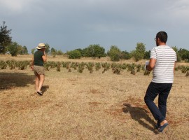 countryside - Mater, a zero impact project in Apulia