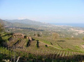 24 hectares of biodiversity on the slopes of Etna