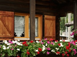 A chalet among the roses of Dolomites