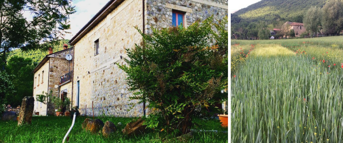 Il Querceto Farmhouse - between biodiversity and relax