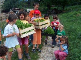Children doing activities in the biologic garden of La Fonte holidayfarm in Folgaria