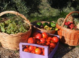Sustainable farme in Liguria