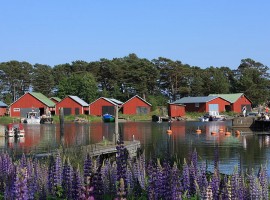 Pyhtää Responsible travel: what are the greenest countries in the world?