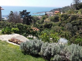 The garden overlooking the sea - Agrilunassa, in Bordighera hills, Liguria (Italy)