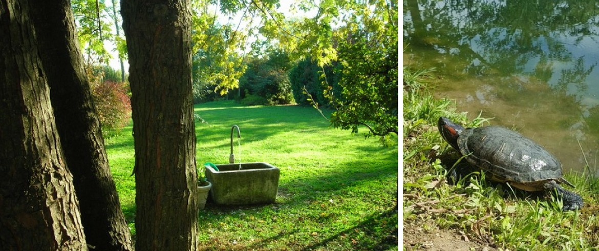 A glimpse of the Parco del B & B SoloQui, and a turtle that lives in the pond