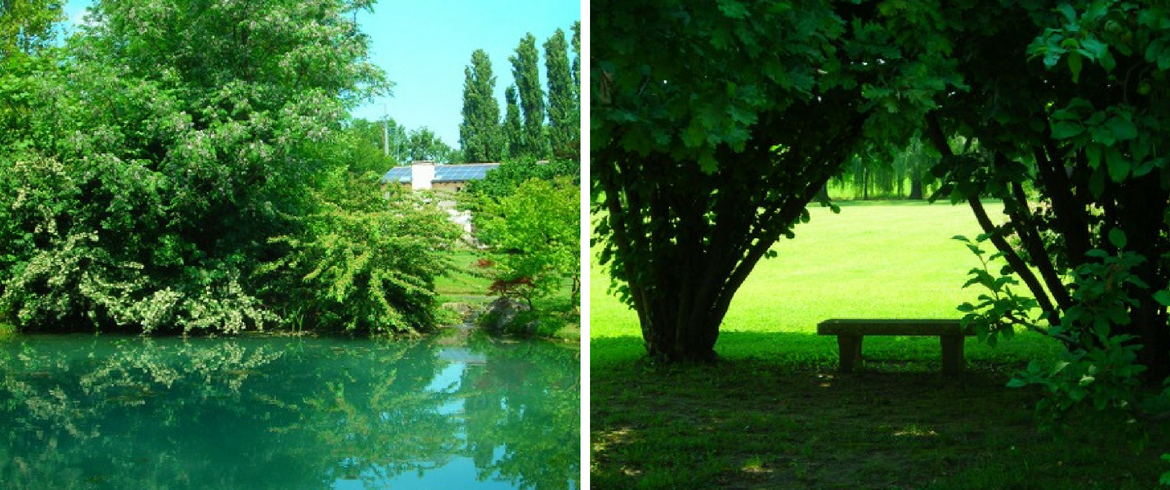 The "Solo Qui" B&B in the green of the Venetian countryside, Italy