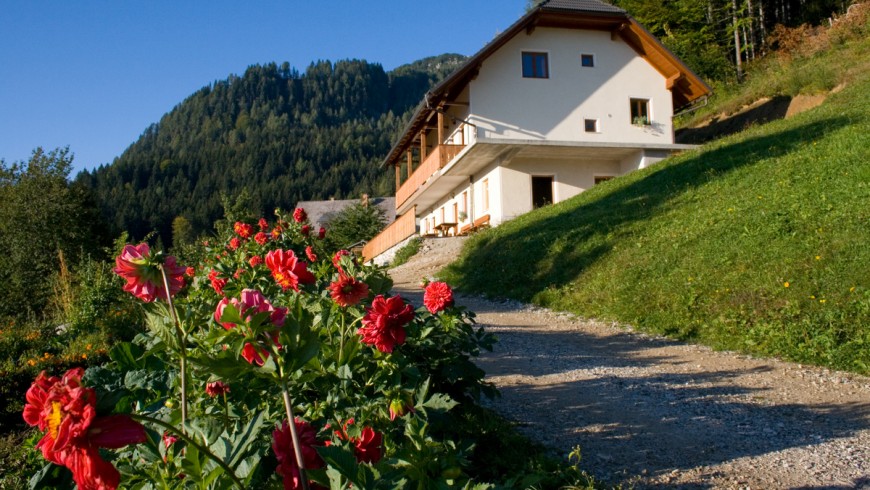 An active holiday in the mountains of Slovenia