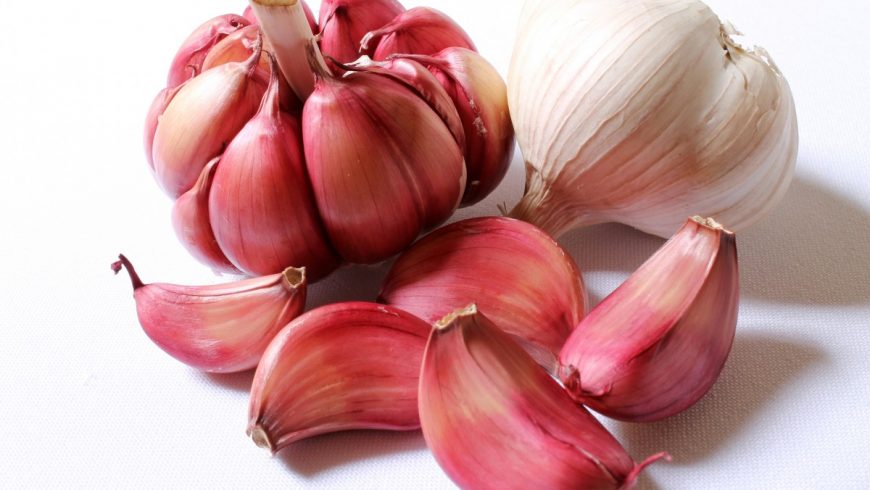 red garlic of Sulmona