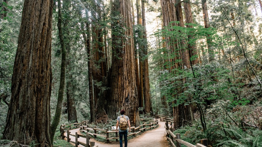 Marcher dans un environnement naturel diminue le stress et améliore la créativité. 