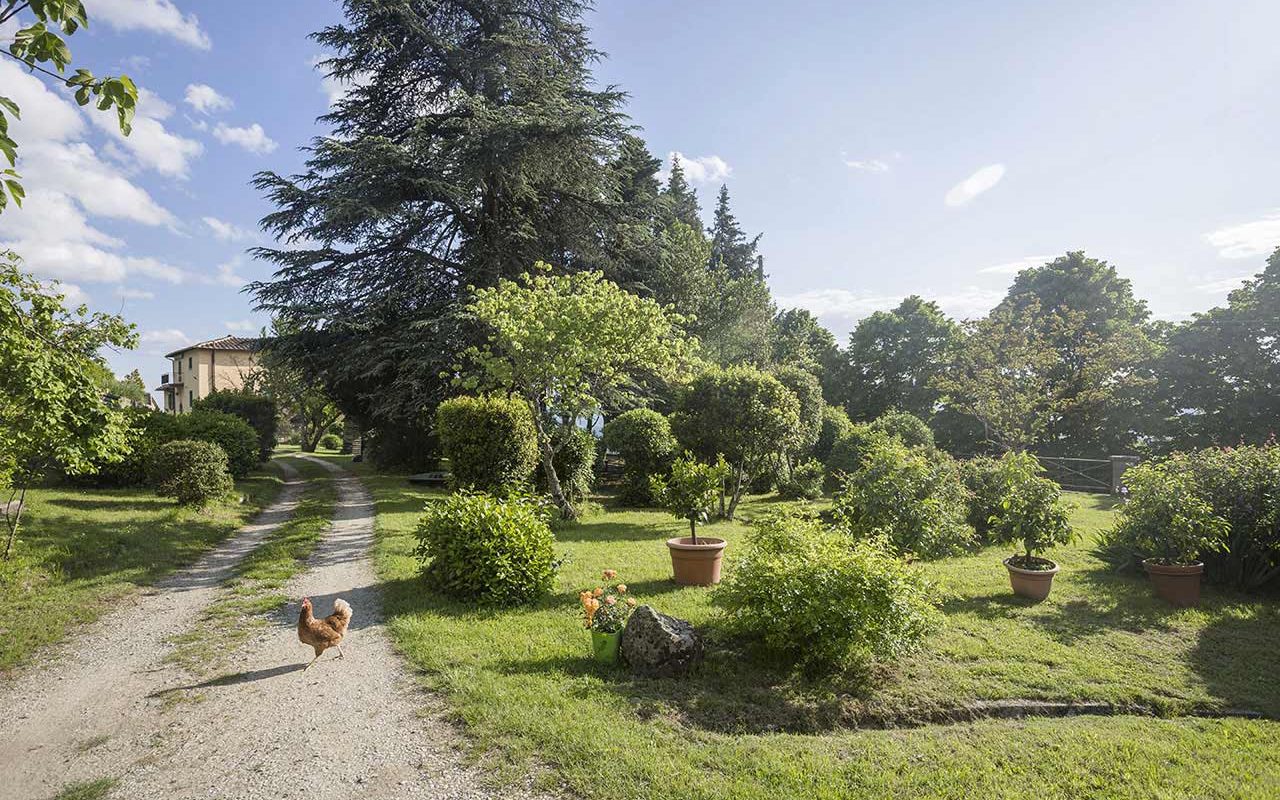 Casa Cares, in Tuscany, is the perfect place for retreats and group vacations