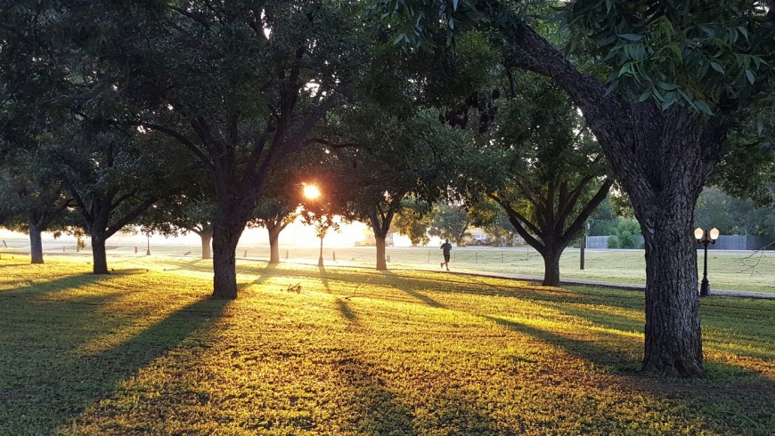 Physical and mind benefits of walking