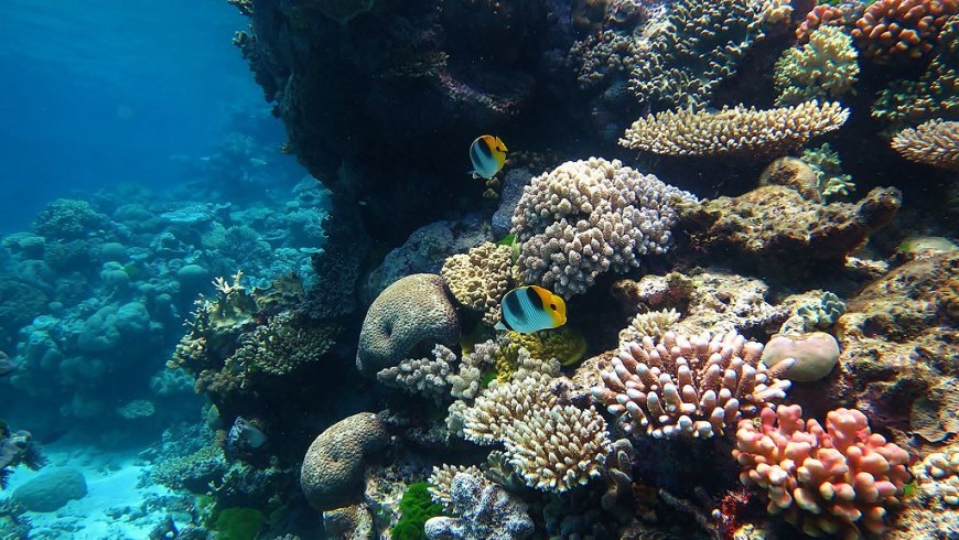 The Great Barrier Reef in Australia
