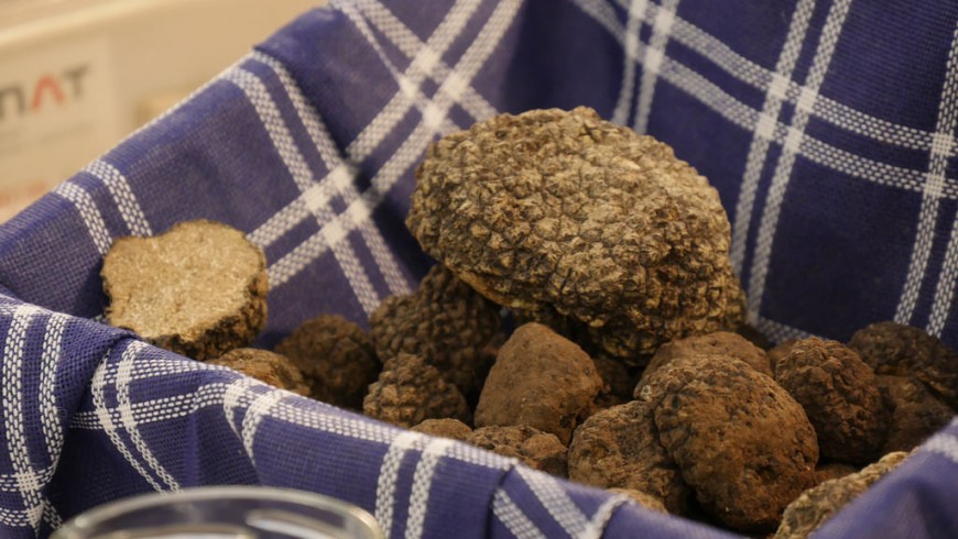 Montespertoli truffle
