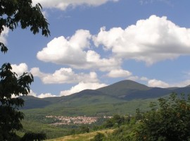 The landscape surrounding Podere di Maggio