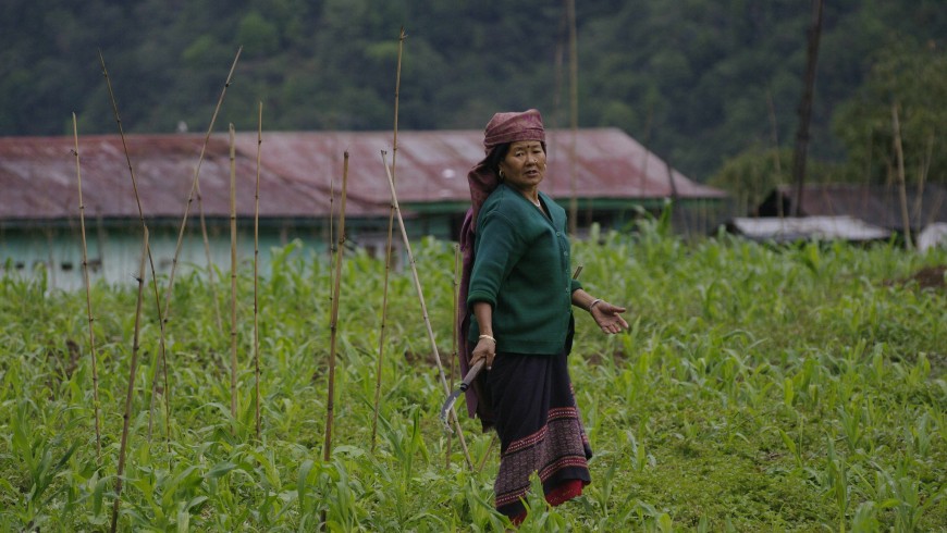 Sikkim, farmer
