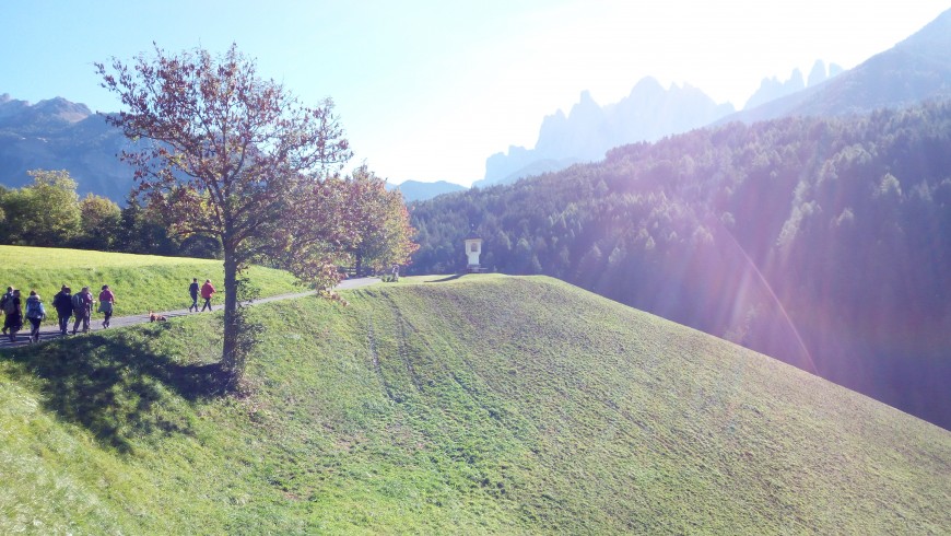 Falling in love with the perfect landscape of Val di Funes