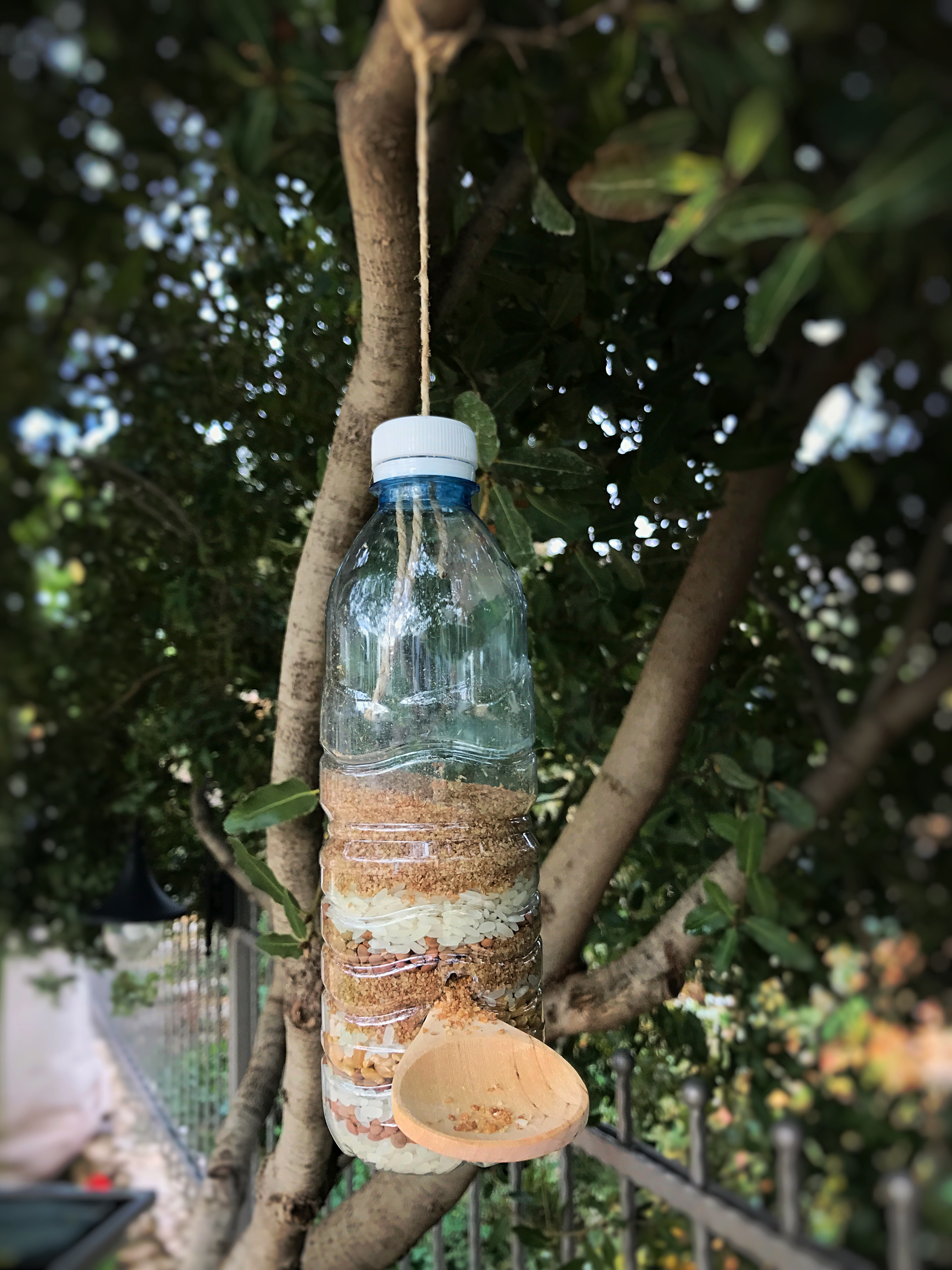 upcycle: birdfeeder hanged on the tree