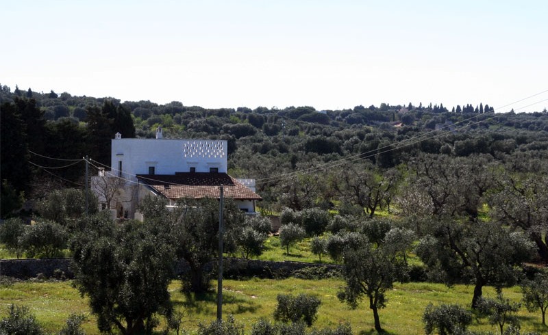 Masseria Bellolio: your eco-wedding between ancient olive trees