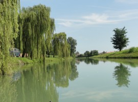 Green itineraries in the countryside between Padua and Venice