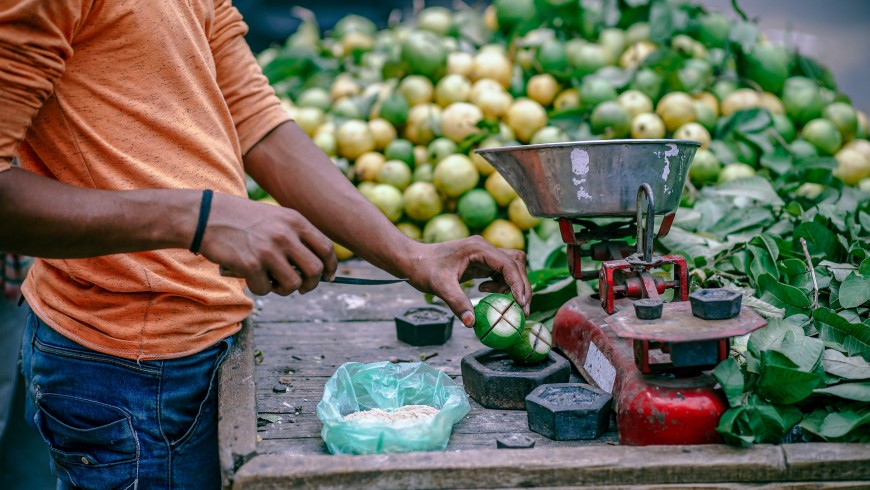 Local supplier in New Delhi, India