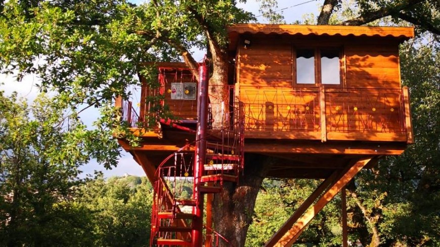 Outside view of the tree-house