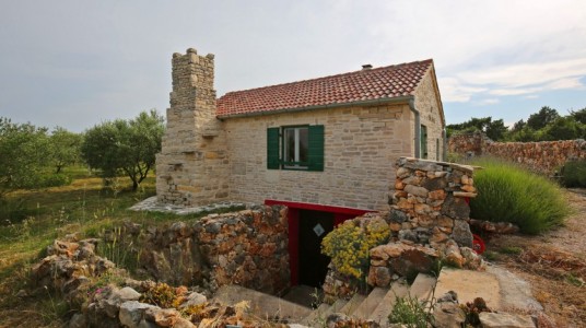 The wine cellar entrance, on the side of the house