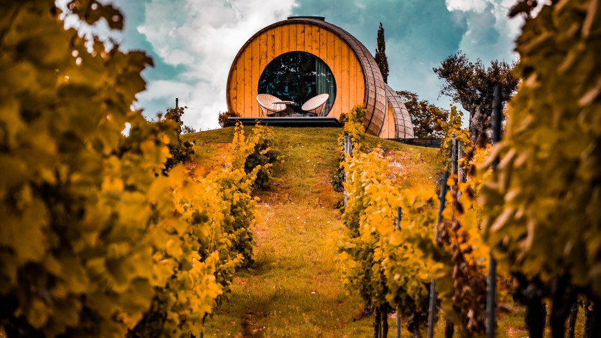 Vineyards in the region of Alto Douro: Portuguese wine-growing is at the forefront in the use of organic and environmentally sustainable technologies